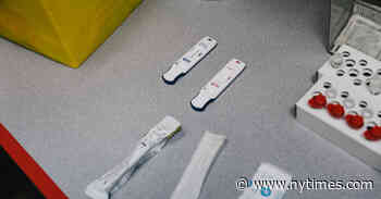 Not Over Yet: Late-Summer Covid Wave Brings Warning of More to Come