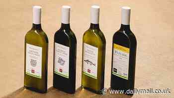 Bizarre flat plastic wine bottles go on sale in the UK that are seven times lighter than glass versions - and experts maintain the unusual design doesn't affect the taste