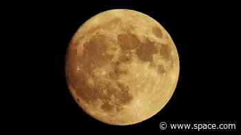 August's Blue Moon, the biggest full moon of 2023, rises this week