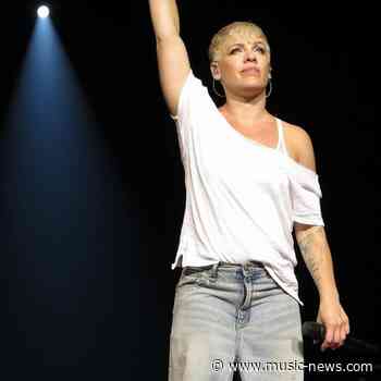 Pink remembers late father on second anniversary of his death