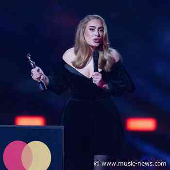 Adele pauses show to scold security for bothering fan