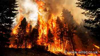 Meta's News Block Causes Chaos as Canada Burns