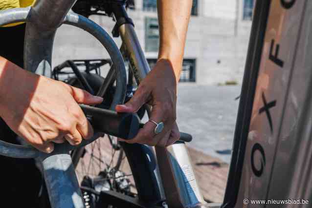 Groepje jongeren kan vluchten na diefstal van fietsen