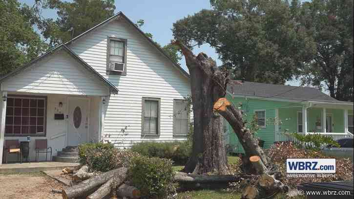 Wrapped up: Entangled powerline makes trouble for Baton Rouge home owner