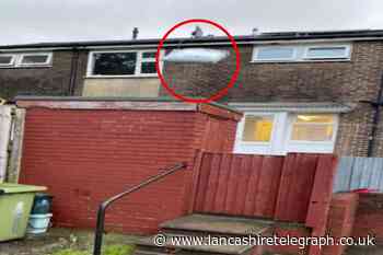 REGIONAL: Evri driver sends pic of parcel 'flying through air'