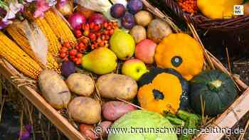 Herbst, ich bin bereit