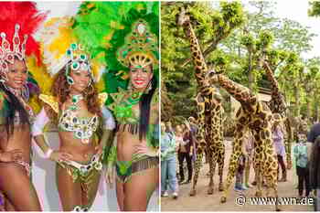 Buntes Rahmenprogramm mit über 300 Künstlern