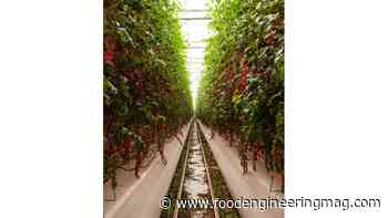 The Impact of AgriTech on the Food Manufacturing Industry