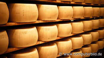 Parmesanhersteller: Mit Ortungs-Chips gegen Fakes