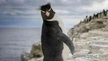 Here's another reason why Linux is way cooler than your operating system