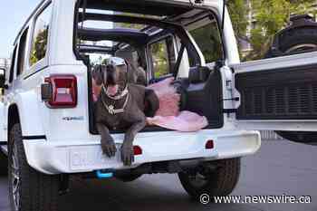 Jeep® Brand Launches 'Famous for Freedom' Global Marketing Campaign for the New 2024 Jeep Wrangler Featuring Legendary 'California Love' Track