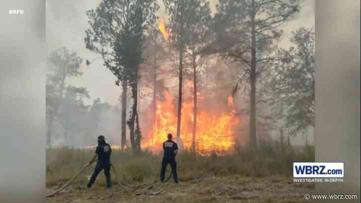 Crews from East Baton Rouge Parish fire departments assisting with wildfires in Beauregard Parish
