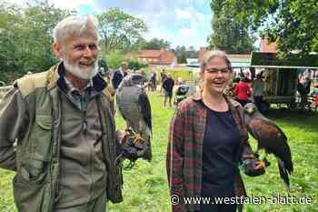 Schloß Holte-Stukenbrock: Greifvögel beeindrucken die Besucher