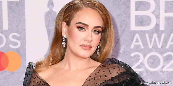 Adele Pauses Performance To Check On An Audience Member Who Was Bothered By Security Guard & Other Audience Members