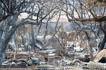 California’s catastrophic Camp fire could suggest what’s ahead for Lahaina