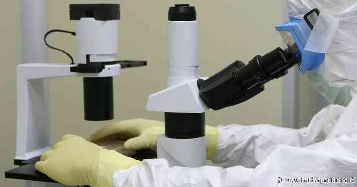 Tatuaggi d’oro per monitorare le singole cellule, l’ambizioso studio dei ricercatori della Johns Hopkins University