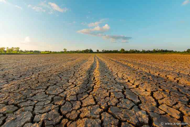 New Mexico looking to pay farmers to let their land go dry near lower Rio Grande