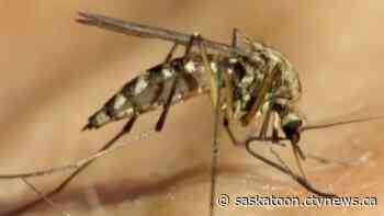 Six birds in Saskatchewan infected with West Nile Virus