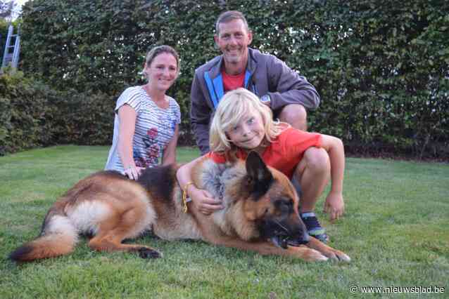 Gezin dat ’s avonds laat wordt weggestuurd op Capfun Camping L’Hirondelle met Duitse herder geen alleenstaand geval, ander Kempens gezin maakte hetzelfde mee en wacht al zeven weken op terugbetaling