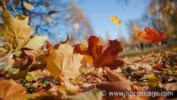 Break out your flannel and pumpkin spice: here's when fall starts in the U.S.