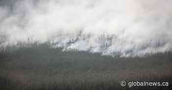 N.W.T. delays territorial election to November over wildfire safety concerns