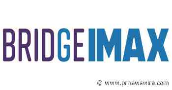 BRIDGE's Inclusion Maturity Assessment and Capability Building Framework (IMAX) Provides Brands with a Measurable Way to Maximize Inclusion Across Their Organizations