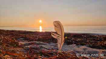 Nicht jeder hat diesen Blick für besondere Fotos und Motive