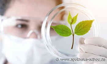 10 Jahre Ruehe Healthcare – Gratisproben-Jubiläumsaktion für Apotheken