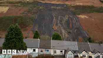 Coal tip repairs threaten rare wildlife, ecologists warn