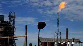 BlueScope fined a record $57.5 million over attempted price fixing that could have affected millions of consumers