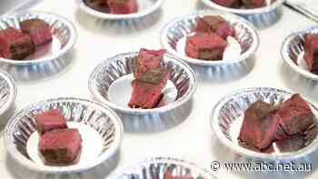 How would you describe the flavour of a perfect steak?