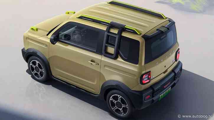 Panda Knight heeft is nu nog stoerder dan ooit