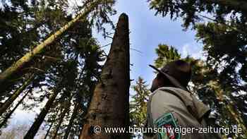 Ranger - die unbekannten Helden des Naturschutzes