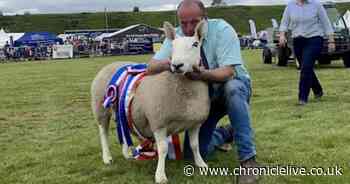 Thousands flock to Glendale Show in Northumberland on bank holiday Monday
