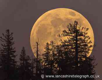Blue Moon Supermoon to appear above UK skies this week