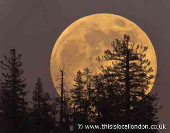 Blue Moon Supermoon to appear above UK skies this week