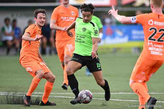 ONZE PROGNOSE: Nieuwe wind waait bij KVK Ninove, dat met scherpe ambities start na degradatie