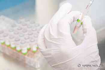 Was steckt hinter der neuen Corona-Variante BA.2.86?