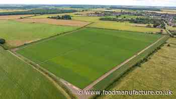 ‘Step change’ required for potato industry to meet net zero goals