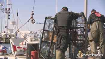 Tensions rise again over unauthorized lobster fishing in Nova Scotia