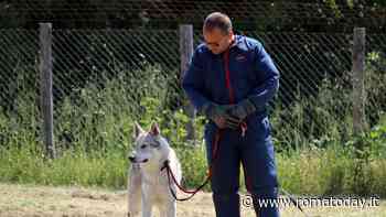 Gli open day al canile per aspiranti educatori cinofili