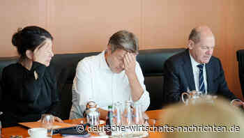 Des Robert Habeck Niedergang