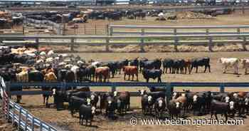 USDA updates LIP payment rate after urgent requests