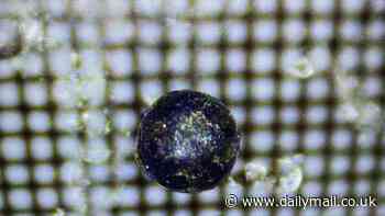 First ever alien object recovered on Earth: Harvard Avi Loeb says hundreds of tiny fragments they found at the bottom of the Pacific Ocean WERE from outside our solar system