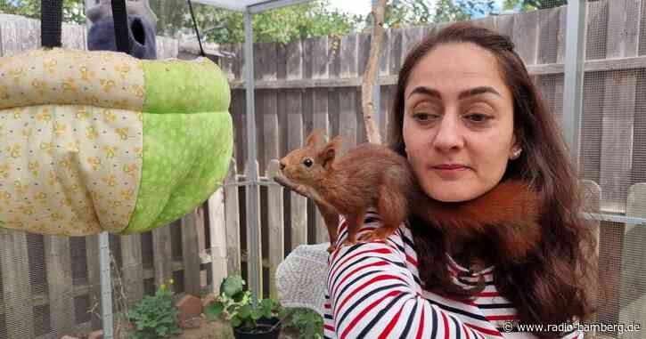 «Schockverliebt» in verwaiste Eichhörnchen