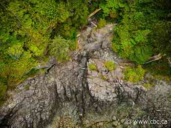 How First Nations in B.C. are reclaiming control and access in their traditional territories