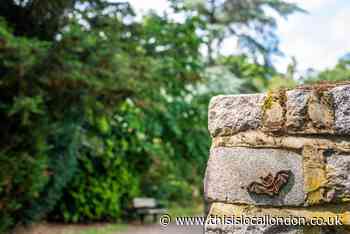 Enchanting 'bat trail' launches in Mayow Park in Beckenham