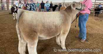 Purina Animal Nutrition launches scholarship program