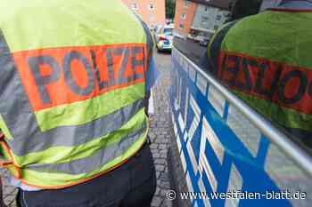 Polizei stellt in Porta Westfalica kriminelle Jugendliche