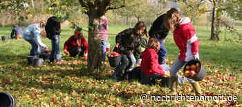 Jetzt anmelden: Die neue Streuobstbörse kommt